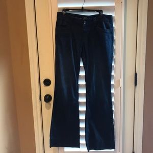 Ann Taylor Loft “Curvy Flare” dressy jeans